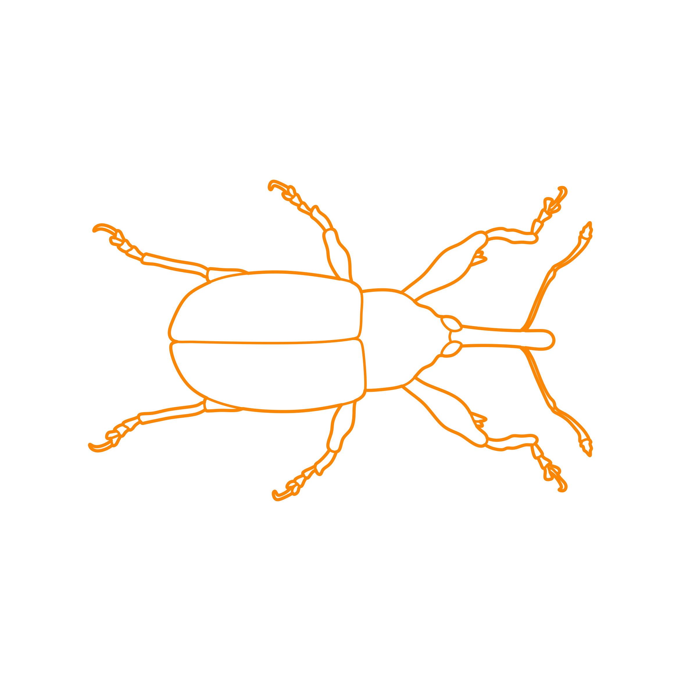 Animals Insects Boll Weevil Contour Svg Vector Free Vectors